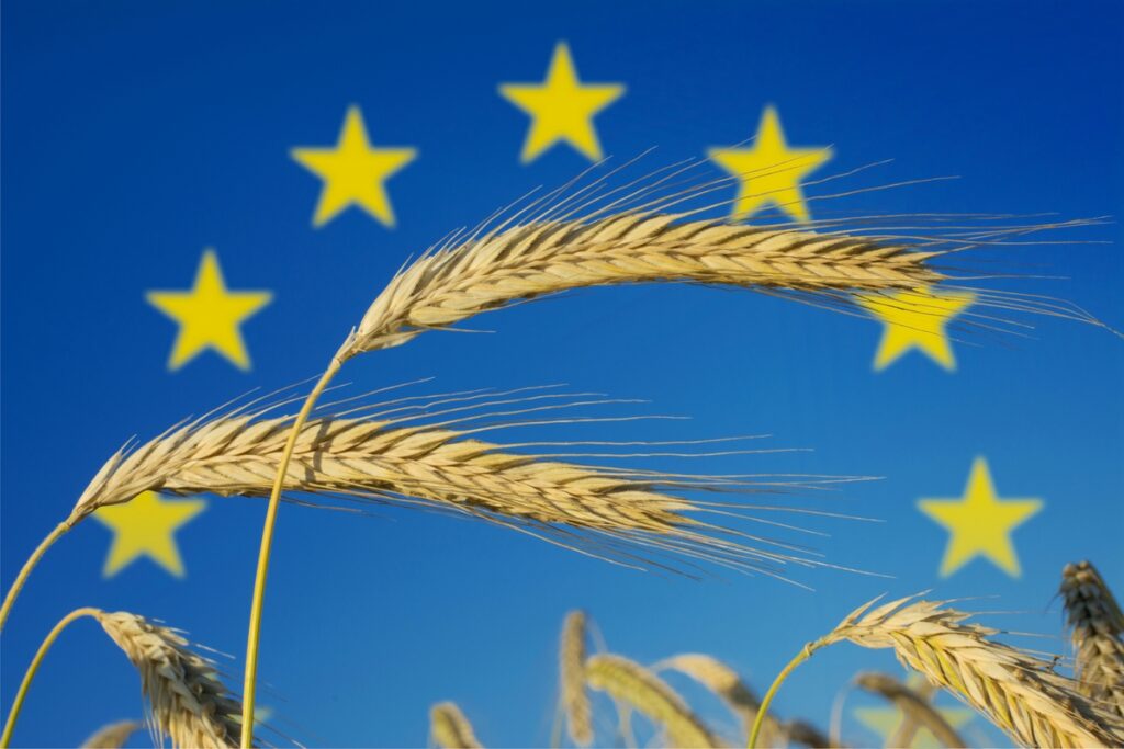 Production, revenu, pesticides... 7 chiffres sur l'agriculture en Europe