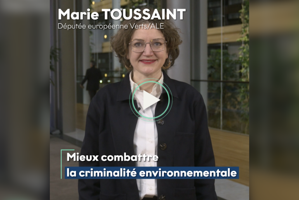 [Vidéo] Marie Toussaint : la directive inscrit le crime d'écocide dans le droit européen