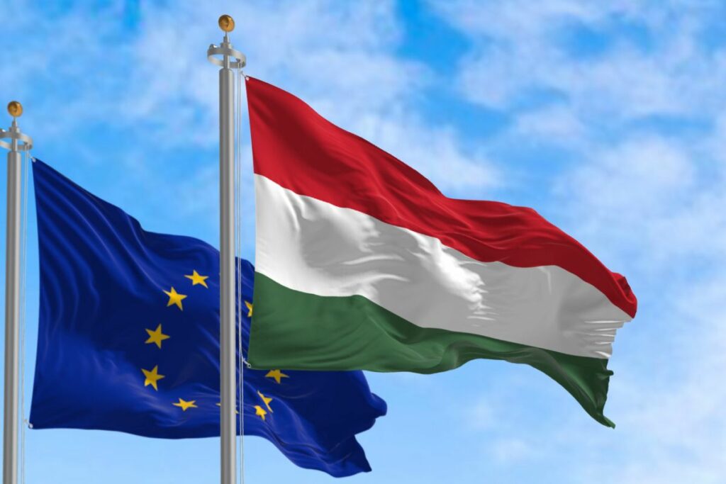 11 listes étaient candidates aux élections européennes en Hongrie - Crédits : rarrarorro / iStock